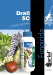 FUNGICIDA DRALL SC. IL SUO PRINCIPIO ATTIVO E’ L’IPRODIONE - Plantgest news sulle varietà di piante